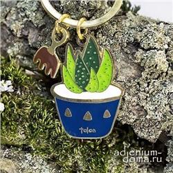 Брелок Haworthia PUMILA (Хавортия)