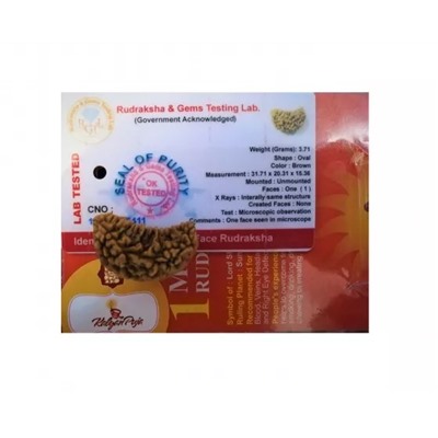Рудракша сертифицированная (1 мукхи), 1 Mukhi Certified Rudraksha, произв. Kalyan Puja