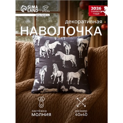 Наволочка декоративная «Этель. Black&White», 40×40 см, велюр