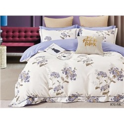 КПБ сатин в коробке (нав 50*70) Satin de Luxe SK Клео <831-SK>