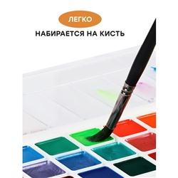 Акварель Гамма "Оранжевое солнце", медовая, 24 цветов (8 перламутр.+ 8 флуор.+ 8 классич.), без кисти, пластик. упак., европодвес