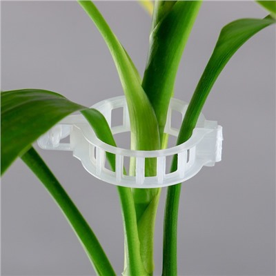 Клипса садовая, d=25 мм, набор 50 шт., Greengo