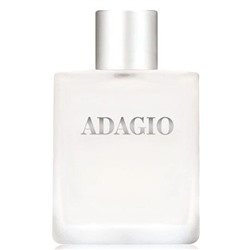 DILIS ADAGIO men 100 мл edt