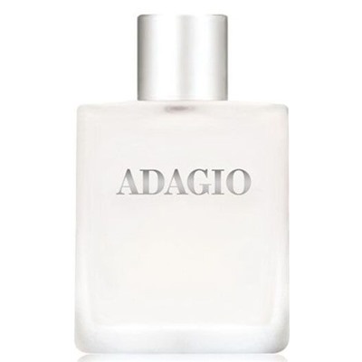 DILIS ADAGIO men 100 мл edt