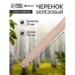 Черенок берёзовый, d = 22 мм, длина 120 см, высший сорт, Greengo