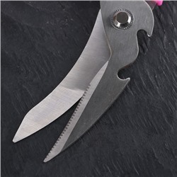 Ножницы кухонные для мяса и рыбы Доляна «Краски», 20 см, МИКС