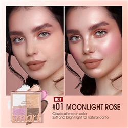 Пудра хайлайтер O.TWO.O № 01 Moonlight Rose