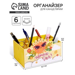 Органайзер для хранения мелочей «Хорошего дня», 6 отделений, 18.7×12.5×12.5 см
