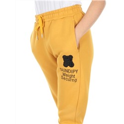 5671 YELLOW Брюки спортивные женские с начесом (50% хлопок, 50% полиэстер)