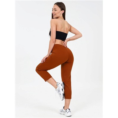 Брюки Меркурий коричневый ИвК