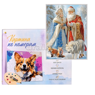 Холст с красками 30х40 по номерам "Дед Мороз и внучка" в коробке (30цв.)