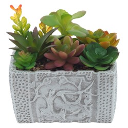 Цветочная композиция "Суккуленты", L16 W11,5 H16 см