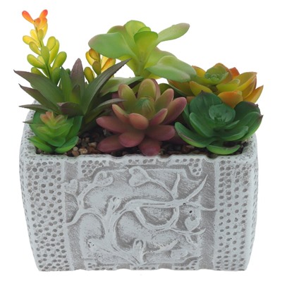 Цветочная композиция "Суккуленты", L16 W11,5 H16 см