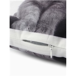 Подушка «Этель» Сat family 40×33 см, 100% п/э, велюр