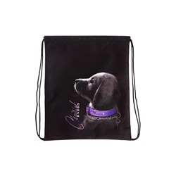 Мешок для обуви, 435×360 мм, Stavia (плотность 600D) «Собачка»