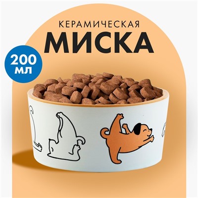 Миска керамическая «Фитнес песики», 200 мл, для собак