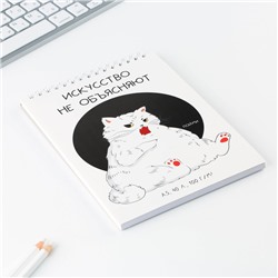 Скетчбук А5, 40 л 100 г/м² «Кот»