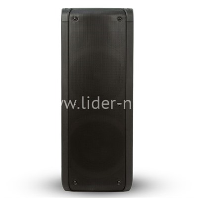 Колонка 06" (20-10 DANCE BOX 300) динамик 2шт/6.5" ELTRONIC с TWS