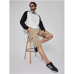 Шорты мужские арт. 08197