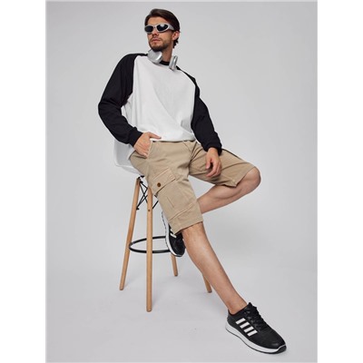 Шорты мужские арт. 08197