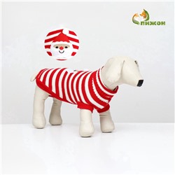 Свитер для собак «Санта», размер XL (ДС 40, ОШ 33, ОГ 50 см)