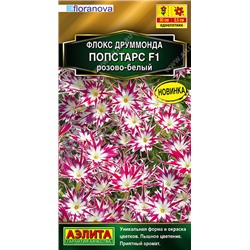 1632 Флокс друммонда Попстарс F1 розово-белый 5шт