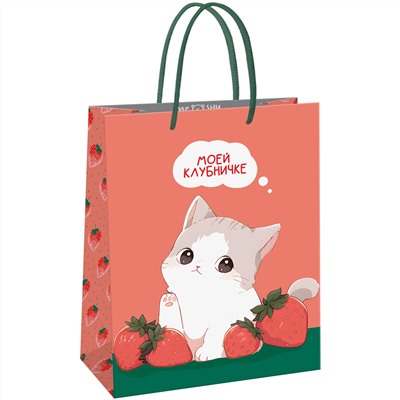 Пакет подарочный 11*14*6,5см MESHU "Strawberry" MS_61598/12/Китай