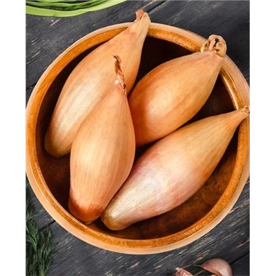 Лук семейный (шалот) Лонгор, арт.: 69385