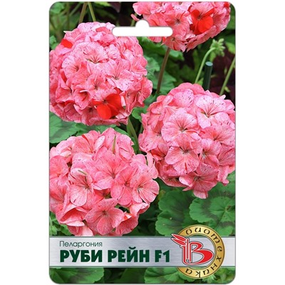 Пеларгония Руби Рейн F1