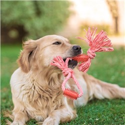 Игрушка канатная с жевательными элементами «Зубочистка», 45 см, микс цветов