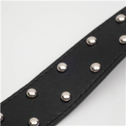 Ошейник клепаный в 2 ряда, 63,5 х 3,8 см, черный