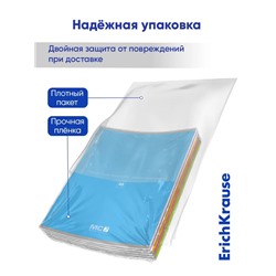 Тетрадь 48 листов в линейку ErichKrause, обложка мелованный картон, блок офсет, 100% белизна, МИКС