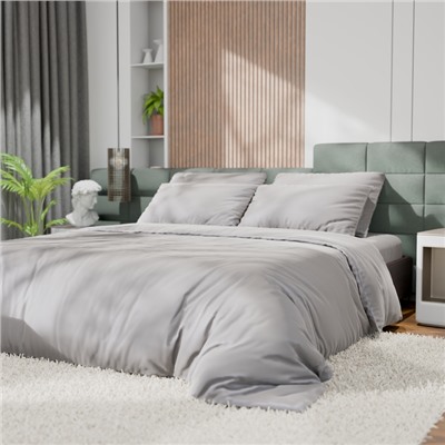Постельное бельё Этель 1,5сп Tencel 155*210см, 160*245см, 50*70см-2шт, цвет светло-серый