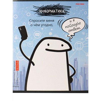 Тетрадь 48л А5 кл ИНФОРМАТИКА «Школьные мемасики» TM Prof-Press 48-9652/80/Россия