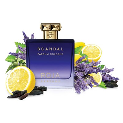 Roja Scandal For Men edc 100 ml