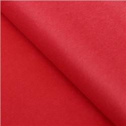 Бумага упаковочная тишью, МИКС, 50 см × 66 см