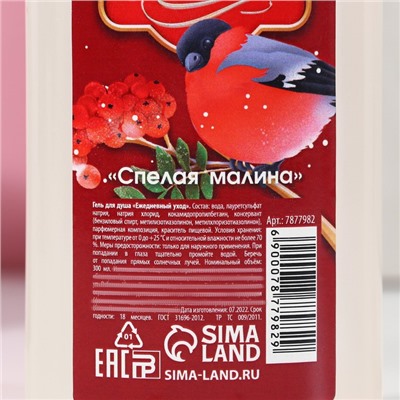 Гель для душа «С Новым Годом», 300 мл, аромат спелой малины