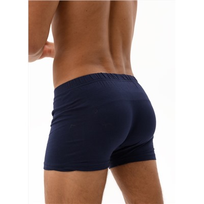 Мужские трусы Berrak