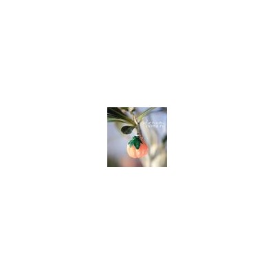 Декор-подвеска ТЫКВА (Cucurbita)
