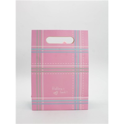 Пакет подарочный (M) "Simple plaid", pink (19x 9 x 27)