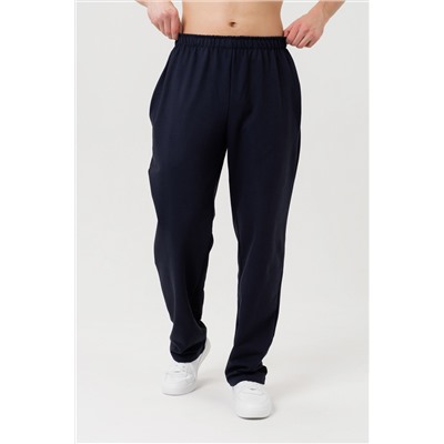 Брюки мужские 21-343M3-WB т.синий1