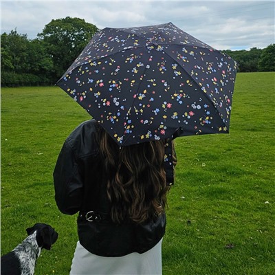 L501-4477 ButtercupSpring (Весенний лютик) Зонт женский механика Fulton