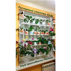 Стеллаж Кедр наоконный распорный, ширина 104см( на 4 полки)