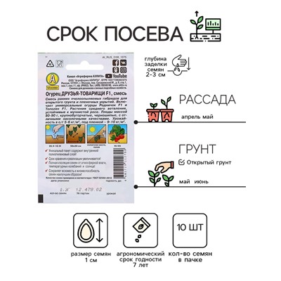 Семена Огурец Друзья-товарищи F1, смесь, 10 шт.