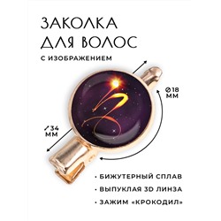 HZF-0326 Заколка Знаки Зодиака - Козерог