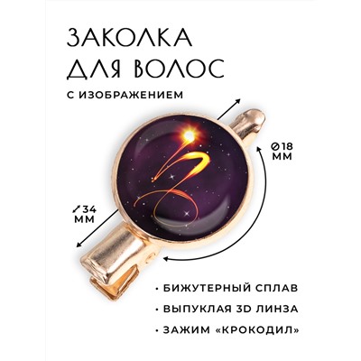 HZF-0326 Заколка Знаки Зодиака - Козерог
