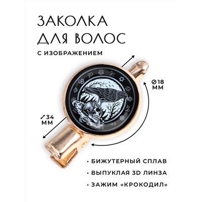 HZF-0203 Заколка Ворон на черепе
