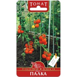 Томат Палка