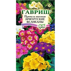 Семена Примула высокая Эрфуртские Великаны, арт.: 8402