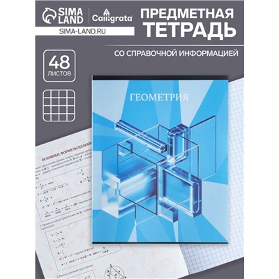 Тетрадь предметная 48 листов в клетку Calligrata, «Школьный стиль. Геометрия», пластиковая обложка